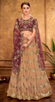 Light Coffee Color Net Glamorous Party Wear Lehengas OS-95834
