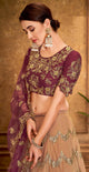 Light Coffee Color Net Glamorous Party Wear Lehengas OS-95834